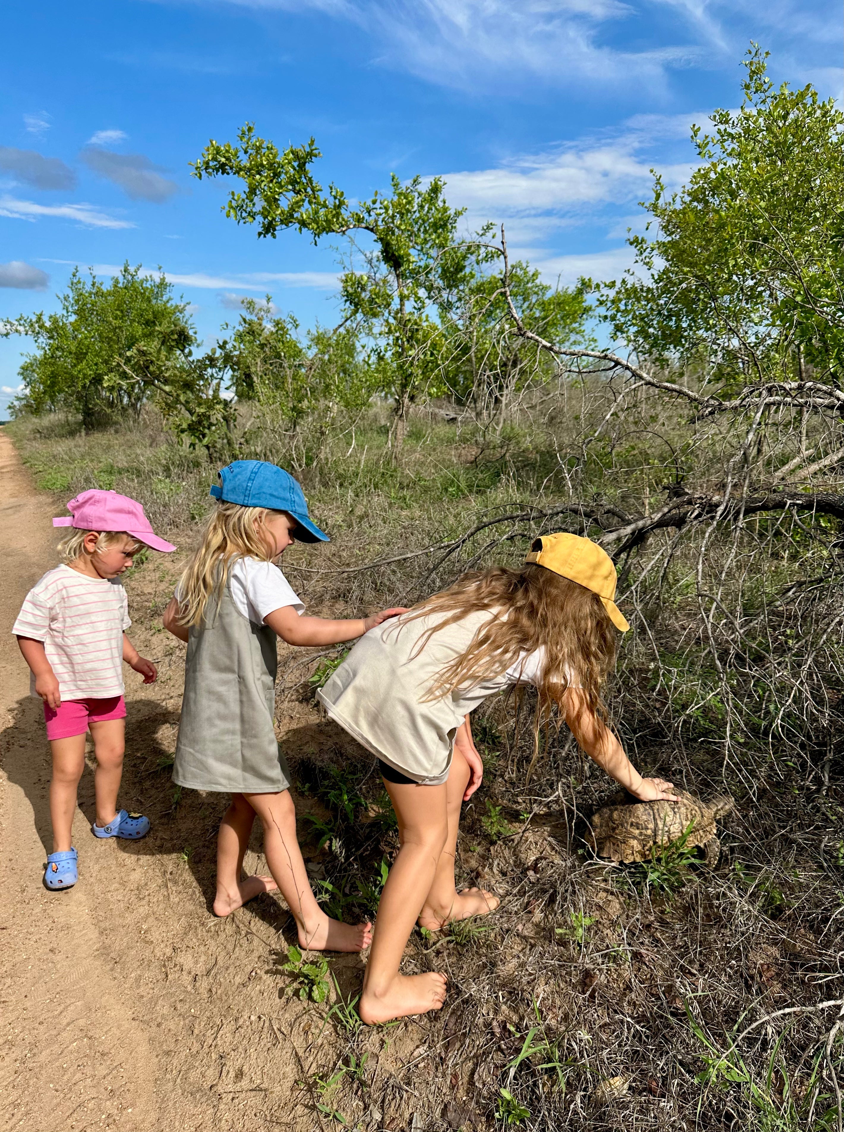 Wild Lander Kids Caps
