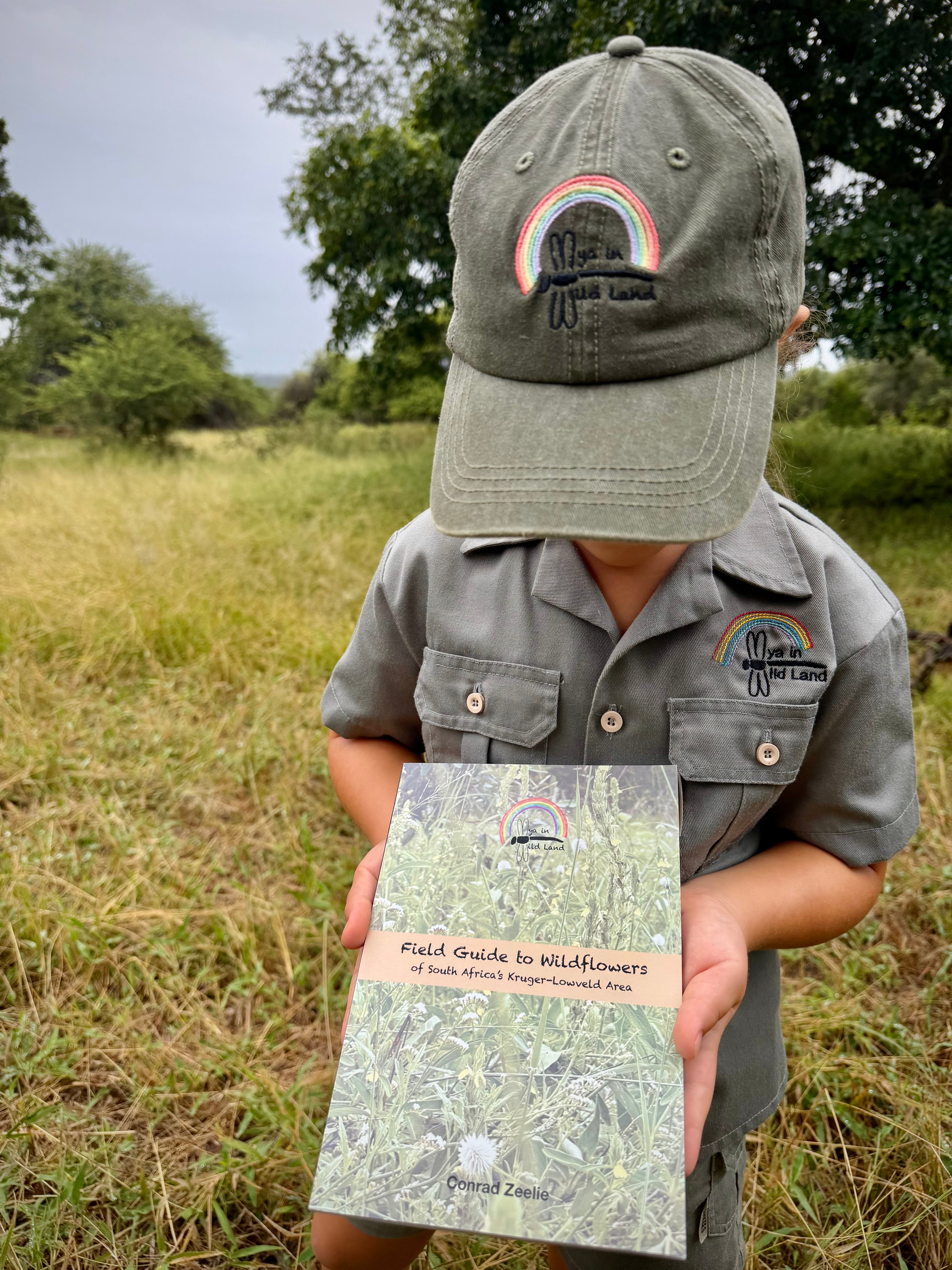 Field Guide to Wildflowers of South Africa's Kruger-Lowveld Area